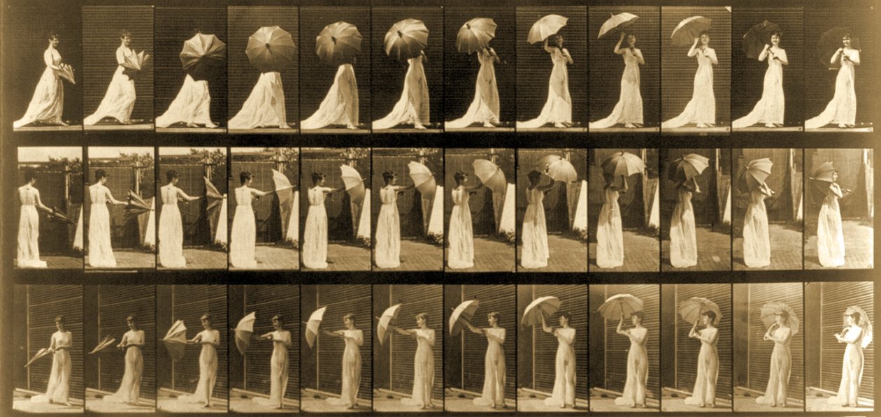女人打开伞从&39;动物运动&39;系列，c.1887 作者 爱德沃德·迈布里奇
