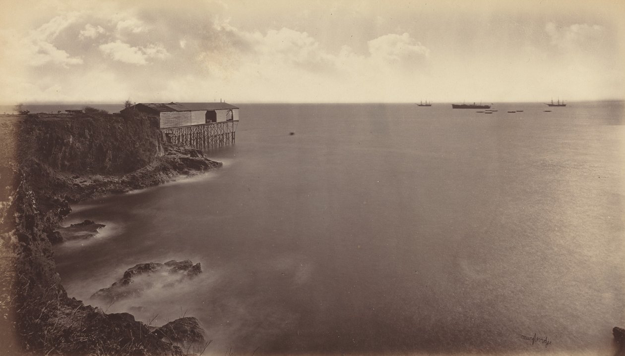 Acajutla, 1877. 作者 爱德沃德·迈布里奇