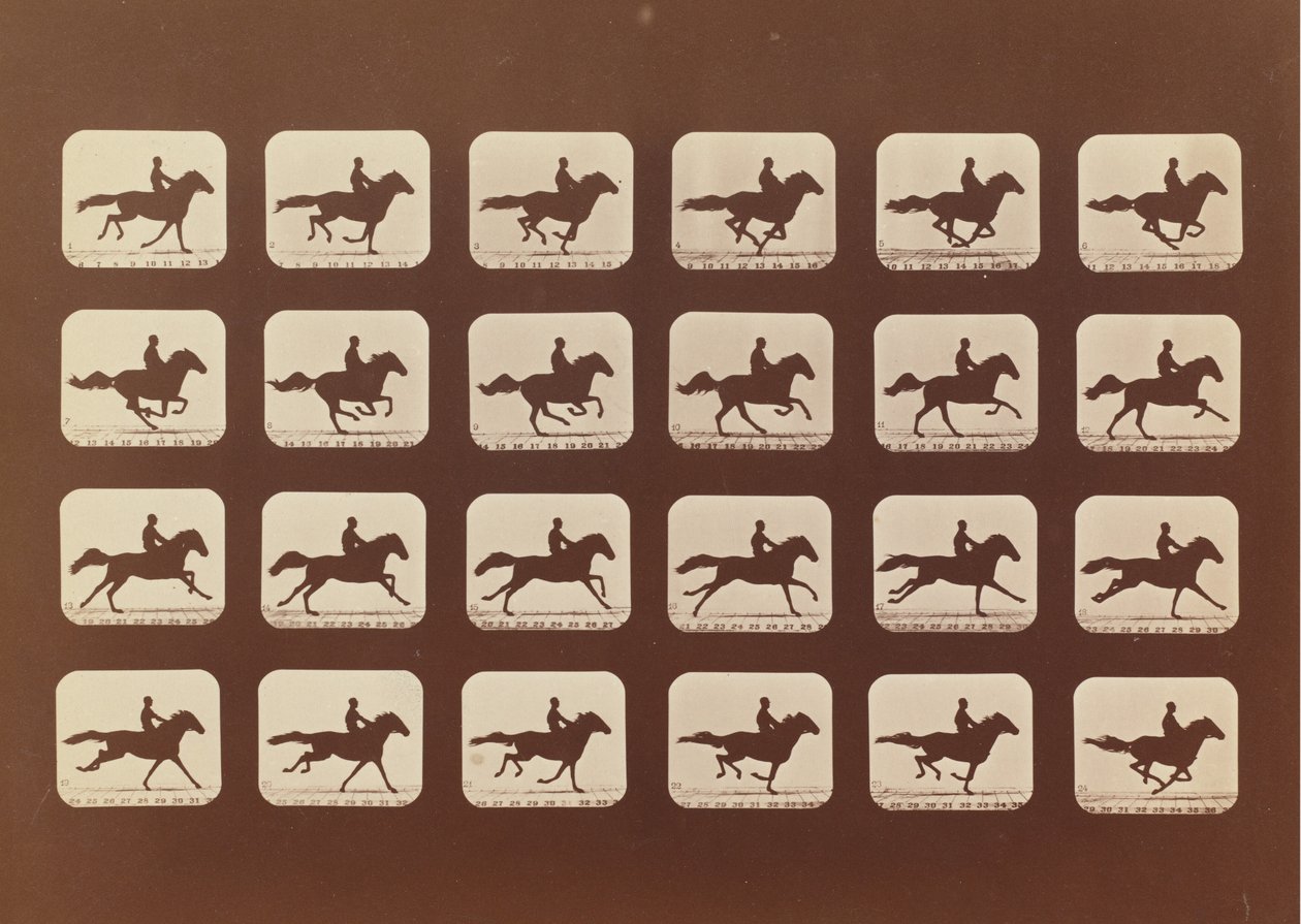 马匹。奔跑。Phyrne L. No. 40, 1879. 作者 爱德沃德·迈布里奇