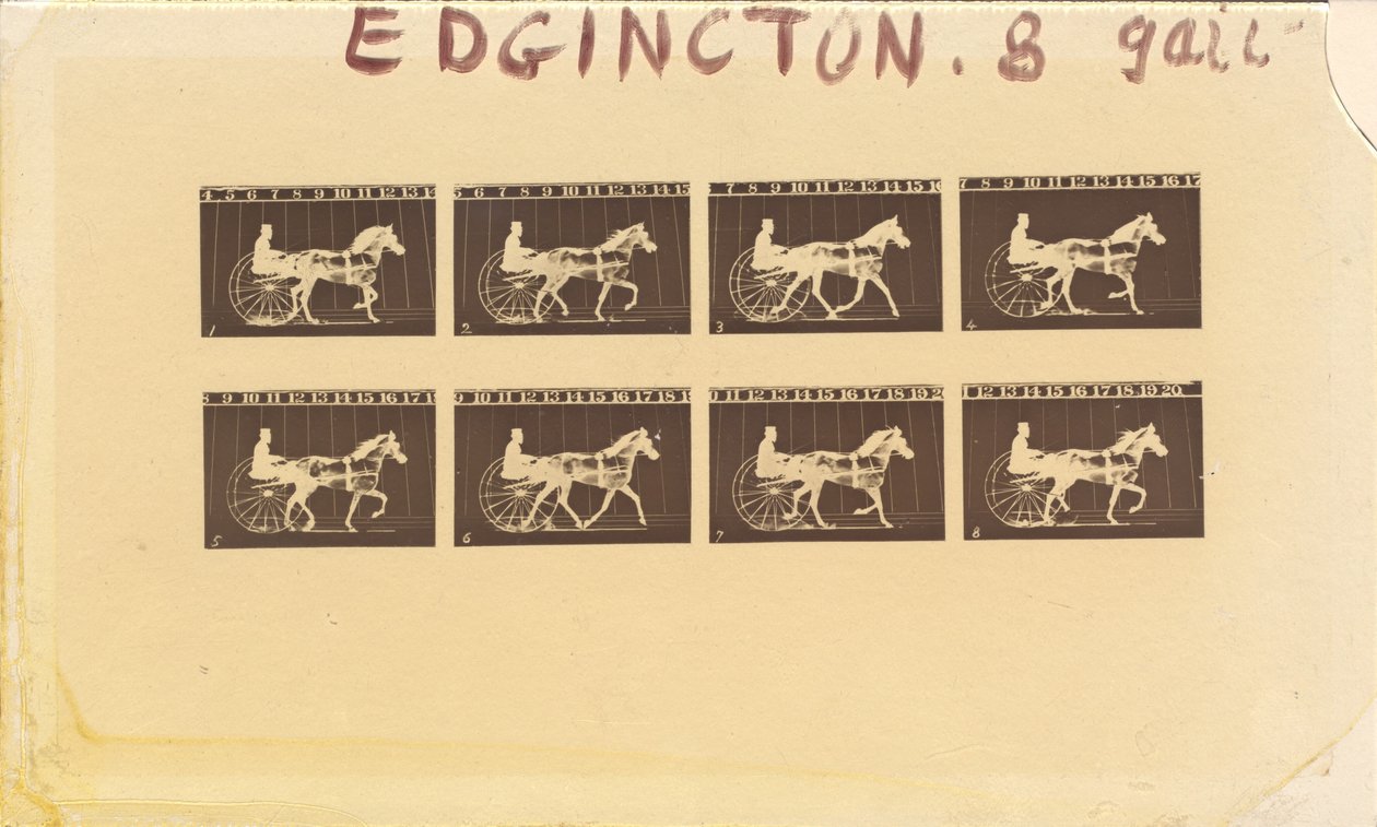 马匹的内向性。小跑。Abe Edgington。第28期，1878年。 作者 爱德沃德·迈布里奇