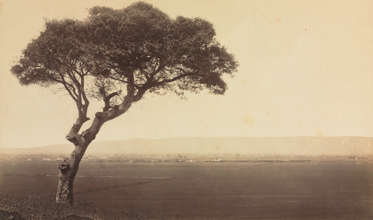 加州沃森维尔附近的无题风景，约1879年。 作者 爱德沃德·迈布里奇