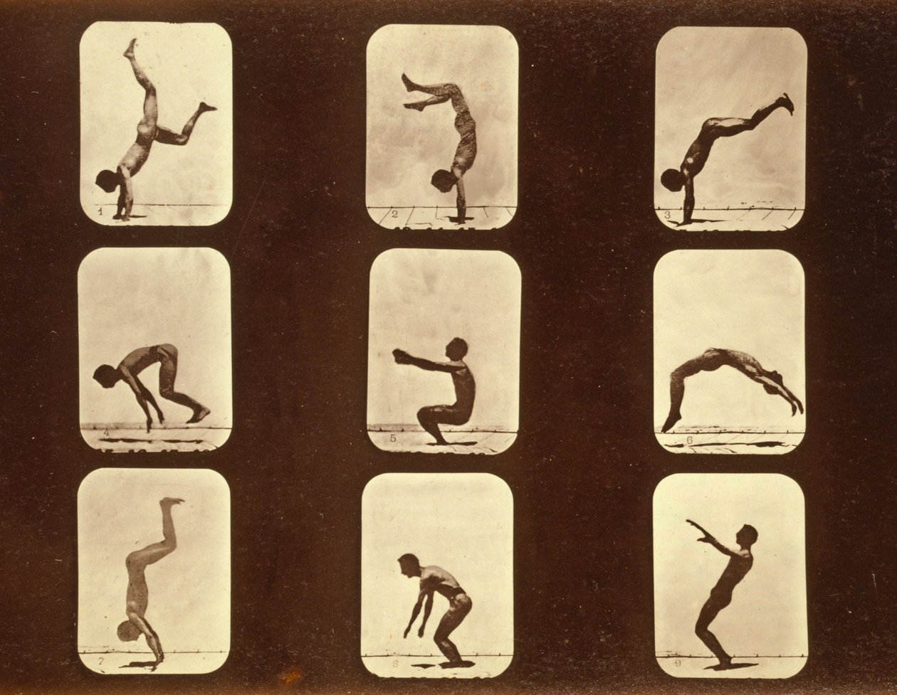 运动员。来自&39;动物运动&39;系列的不规则，c.1881 作者 爱德沃德·迈布里奇