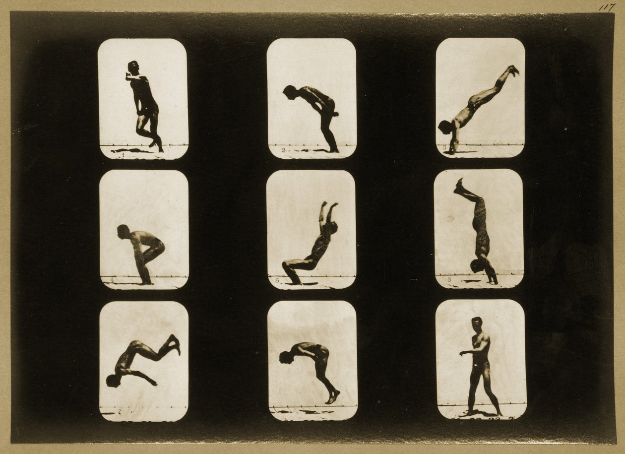 运动员，不规则，来自&39;动物运动&39;系列，c.1881 作者 爱德沃德·迈布里奇