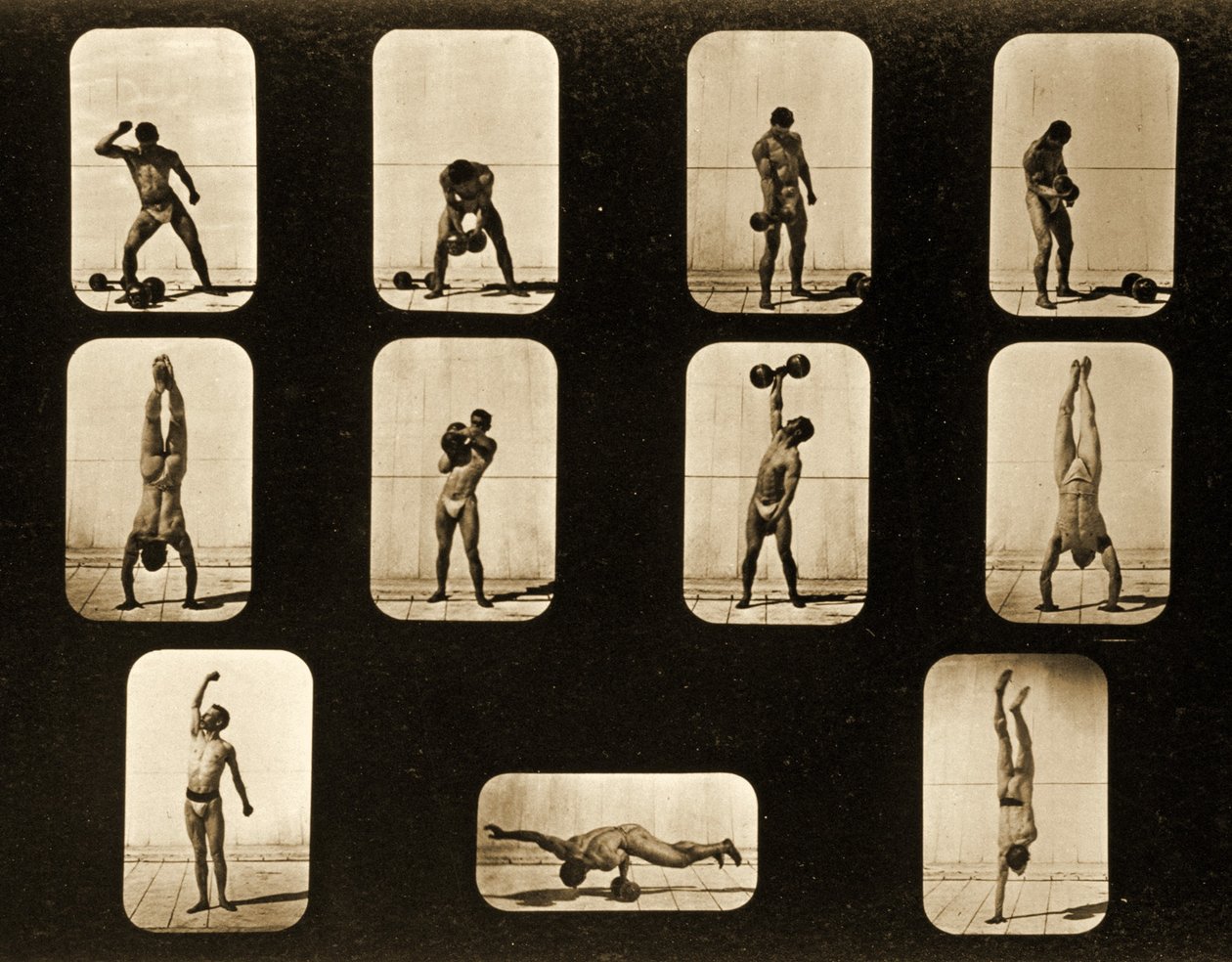 运动员。姿势形成&39;动物运动&39;系列，c.1881 作者 爱德沃德·迈布里奇