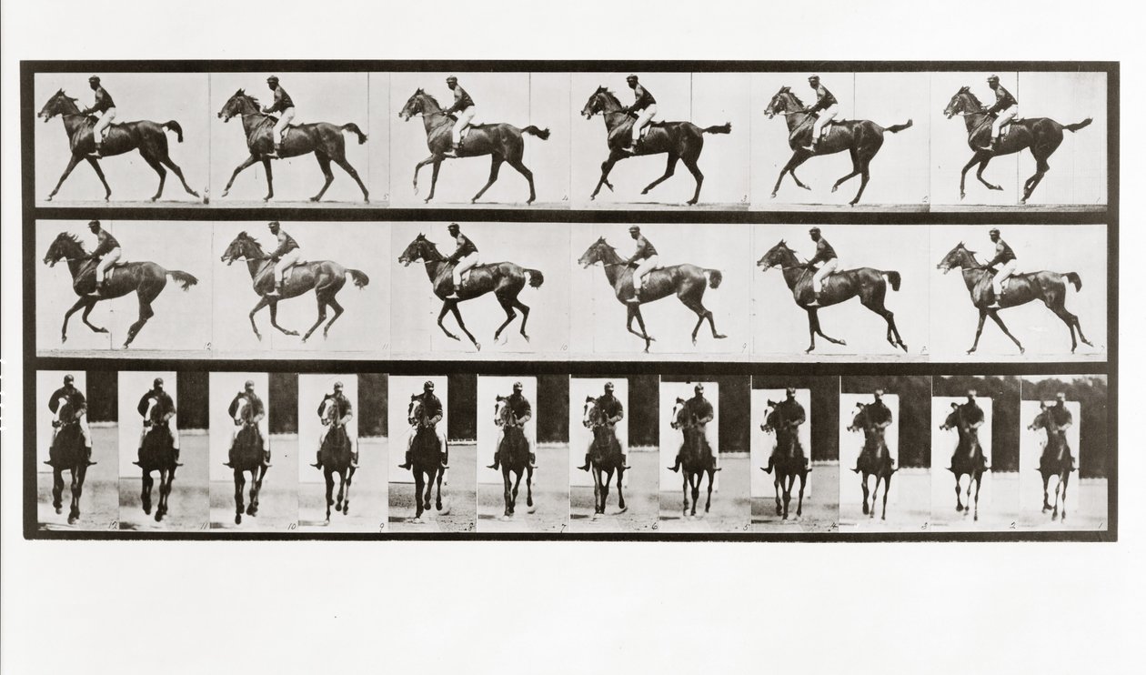 骑马，骑士，板621来自Animal Locomotion，1887 作者 爱德沃德·迈布里奇