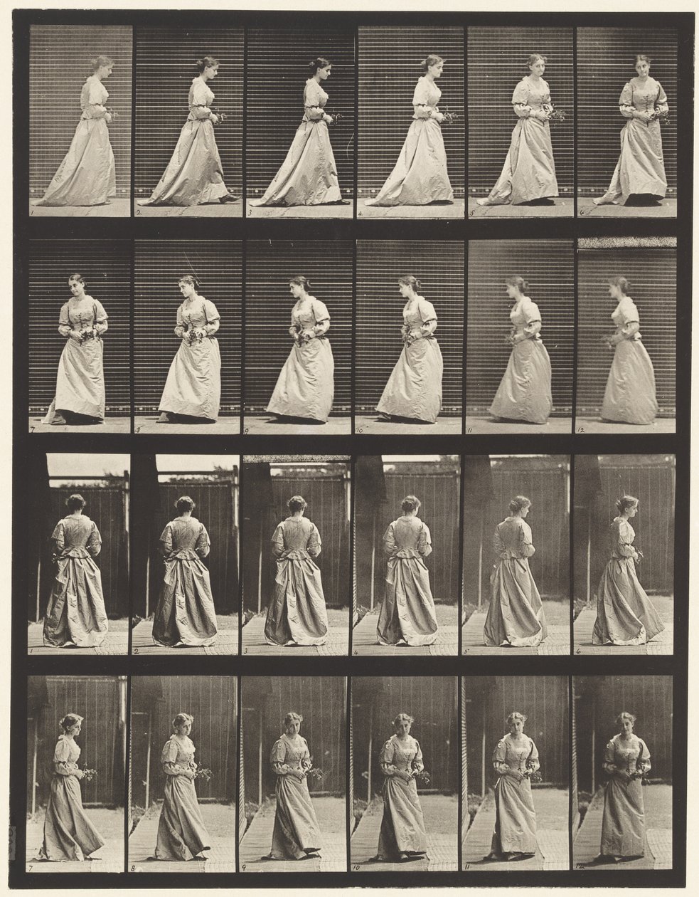 板块1.转向和升高楼梯，1885年 作者 爱德沃德·迈布里奇