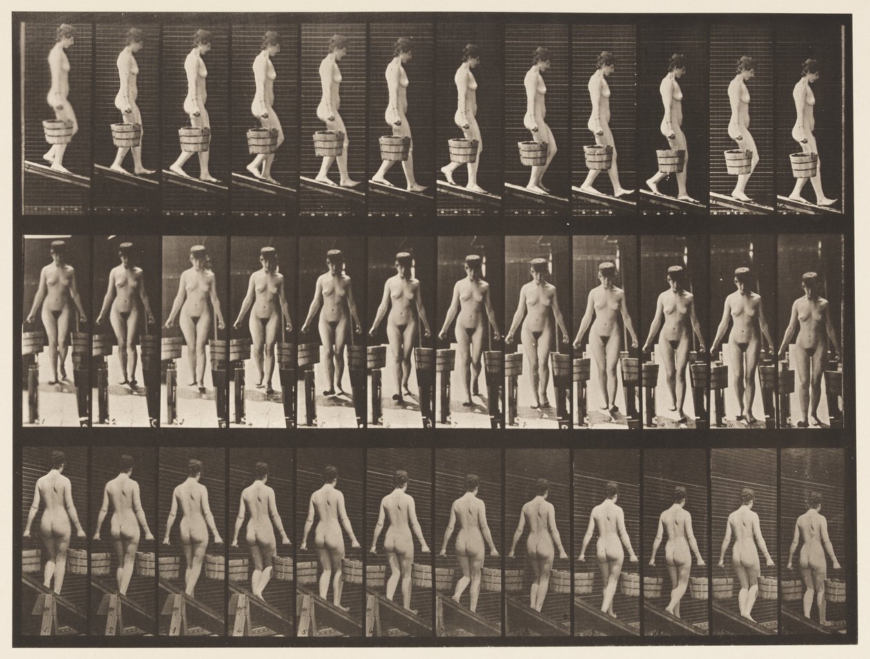 板块122.下降倾斜，每只手中的水桶，1872-1885 作者 爱德沃德·迈布里奇