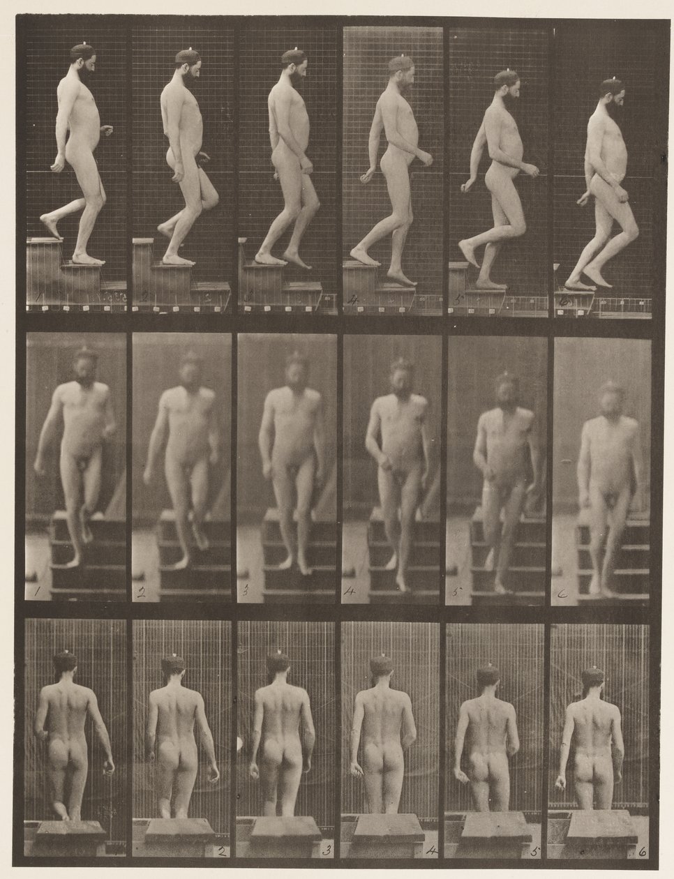板块127.下楼梯，1872-1885 作者 爱德沃德·迈布里奇