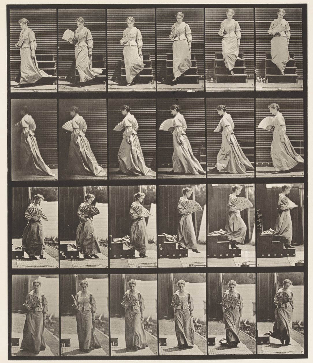 Plate 141. Descending Stairs and Flirting Fan 作者 爱德沃德·迈布里奇