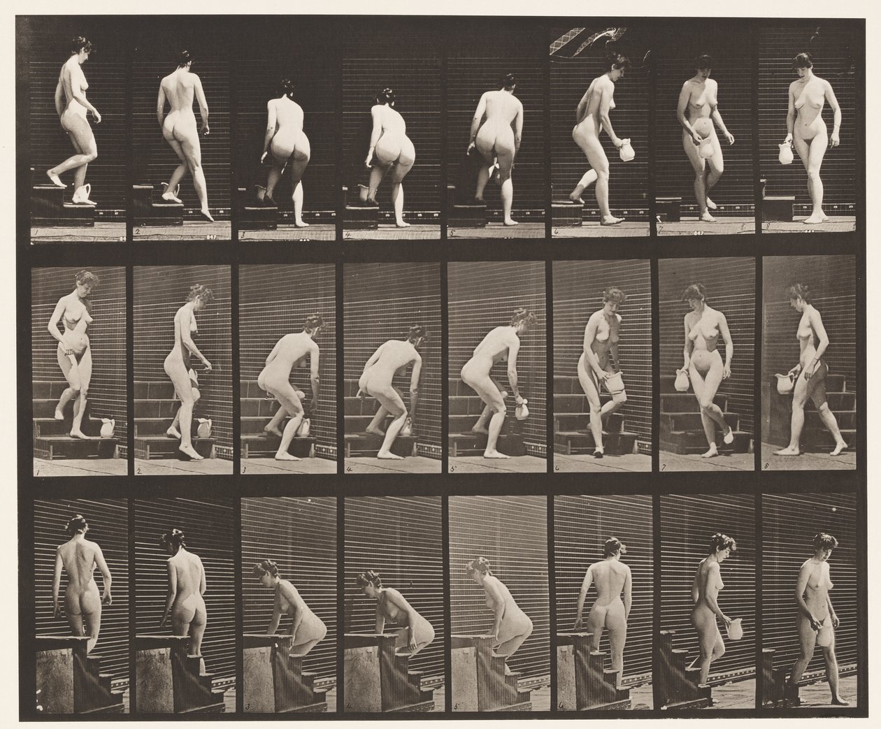 板块150.下楼梯;弯腰，起重投手，转弯，1872-1885 作者 爱德沃德·迈布里奇
