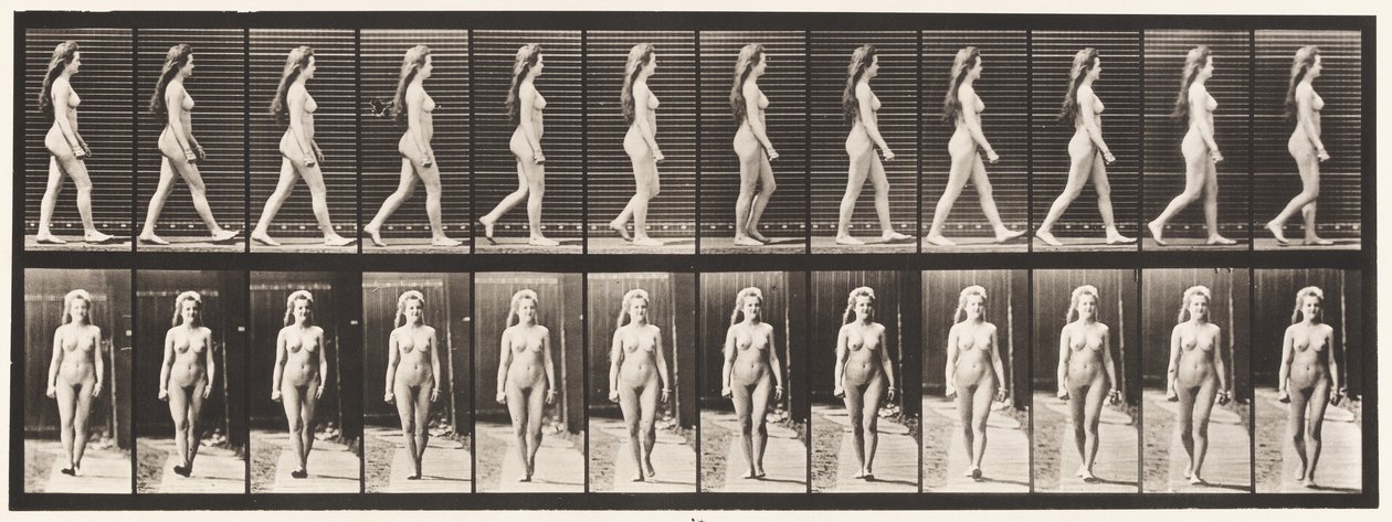 板17.步行，1872-1885 作者 爱德沃德·迈布里奇