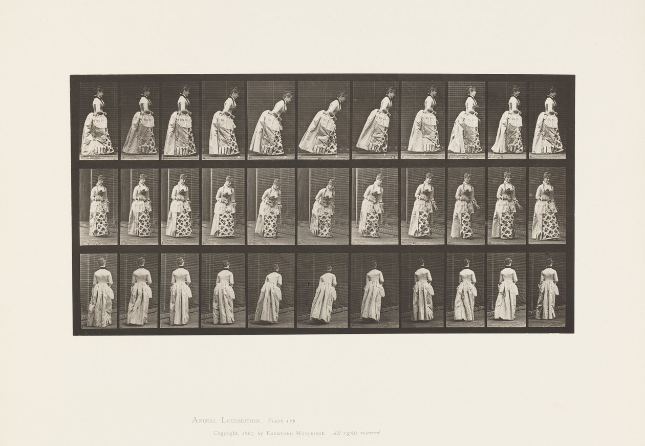 板块198.Courtseying，1885 作者 爱德沃德·迈布里奇