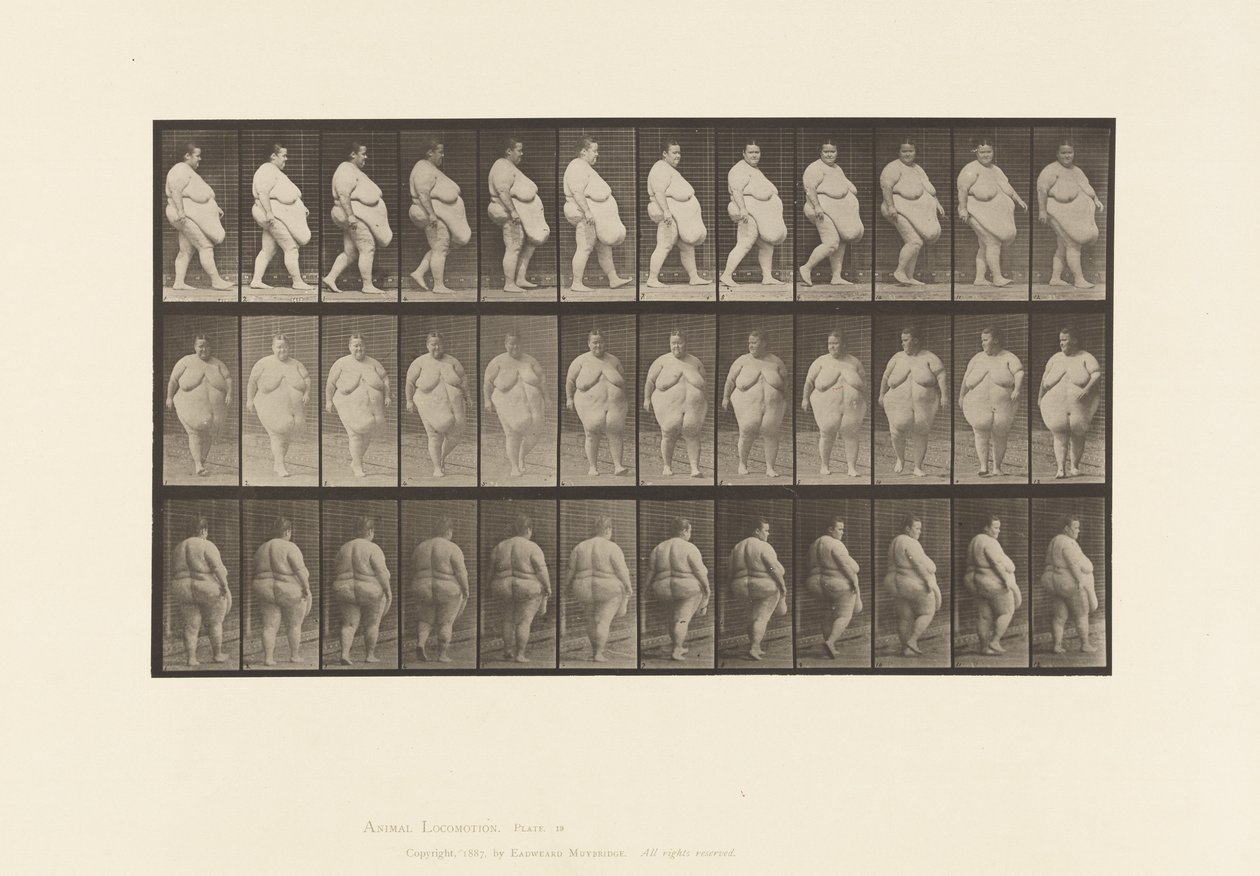 Plate 19. Walking, Commencing to Turn Around 作者 爱德沃德·迈布里奇