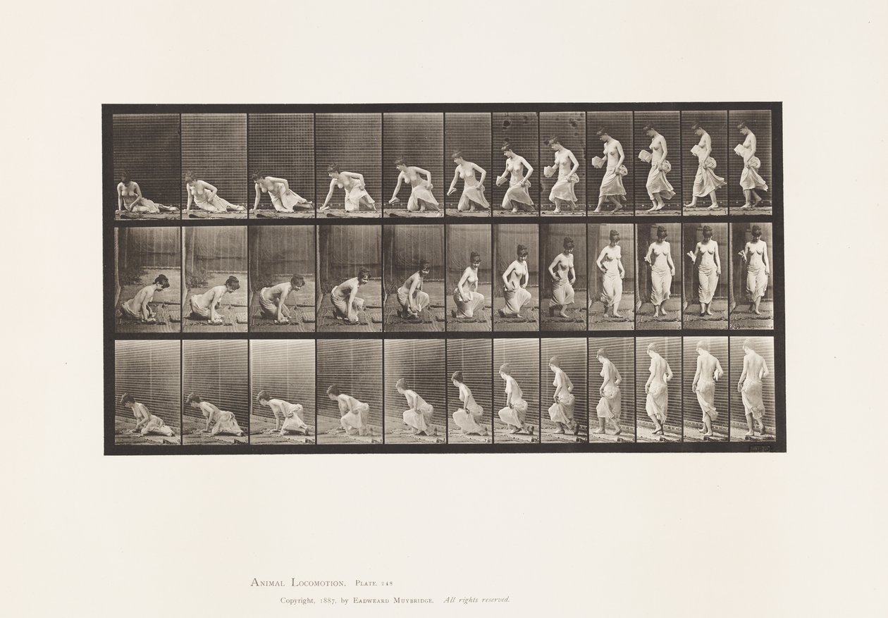 Plate 248. Sitting Down on the Ground 作者 爱德沃德·迈布里奇