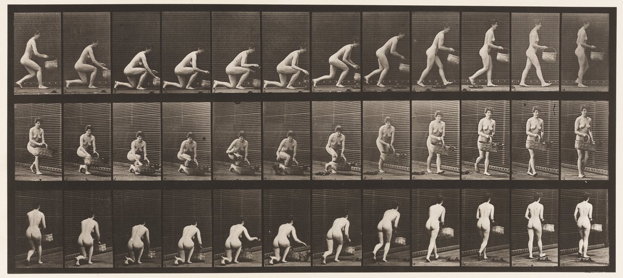 板251.跪在左膝，左手篮和上升，1872-1885 作者 爱德沃德·迈布里奇