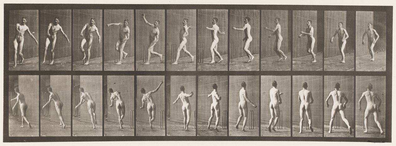 板块290.Cricket; Over Arm Bowling，1885 作者 爱德沃德·迈布里奇