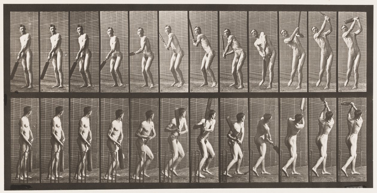 板块291.Cricket;棉絮;驾驶，1885年 作者 爱德沃德·迈布里奇