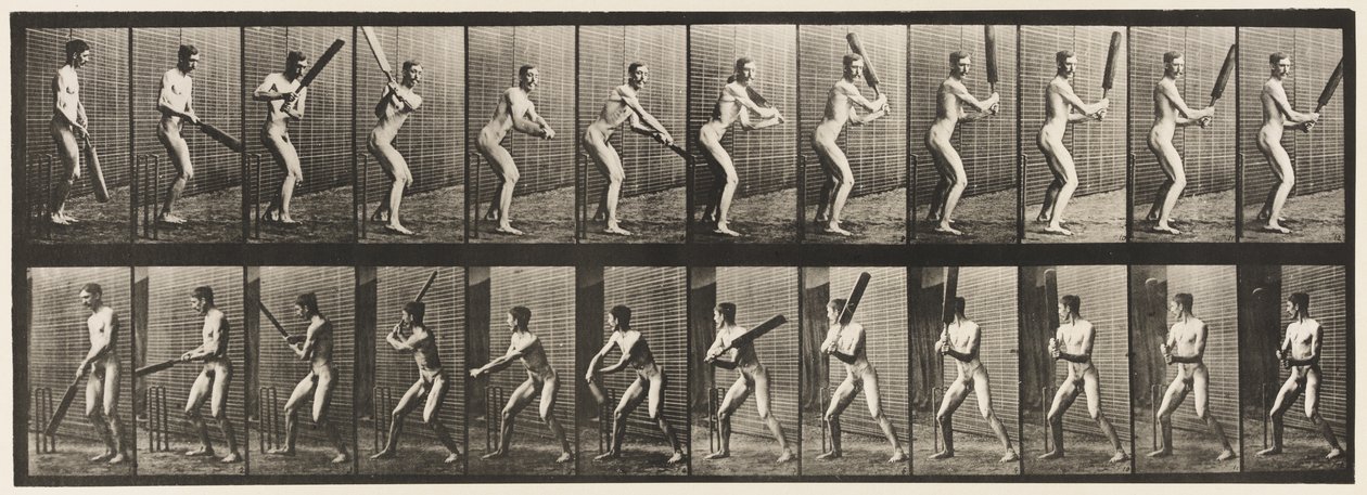 板块293.Cricket;棉絮; Back Cut，1885 作者 爱德沃德·迈布里奇