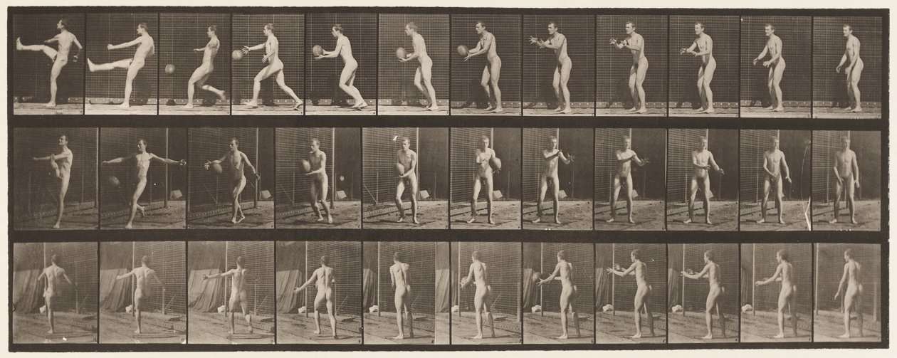板301.Foot-ball; Punt，1885 作者 爱德沃德·迈布里奇