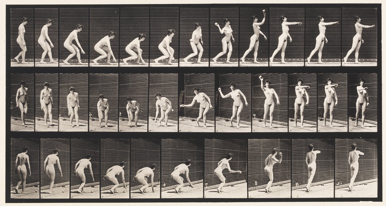 板块303.拾起球并投掷它，1872-1885 作者 爱德沃德·迈布里奇