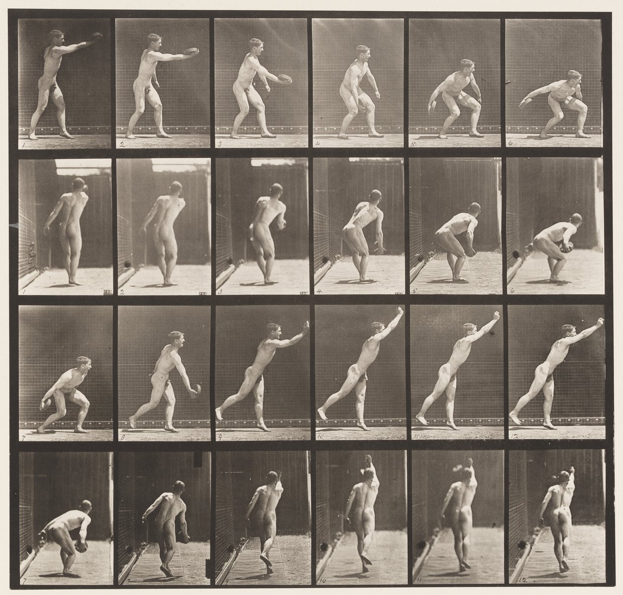 盘307.投掷铁盘，1872-1885 作者 爱德沃德·迈布里奇