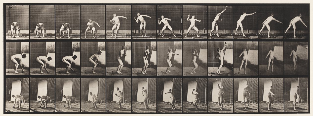 板块310.Putting the Shot，1885 作者 爱德沃德·迈布里奇