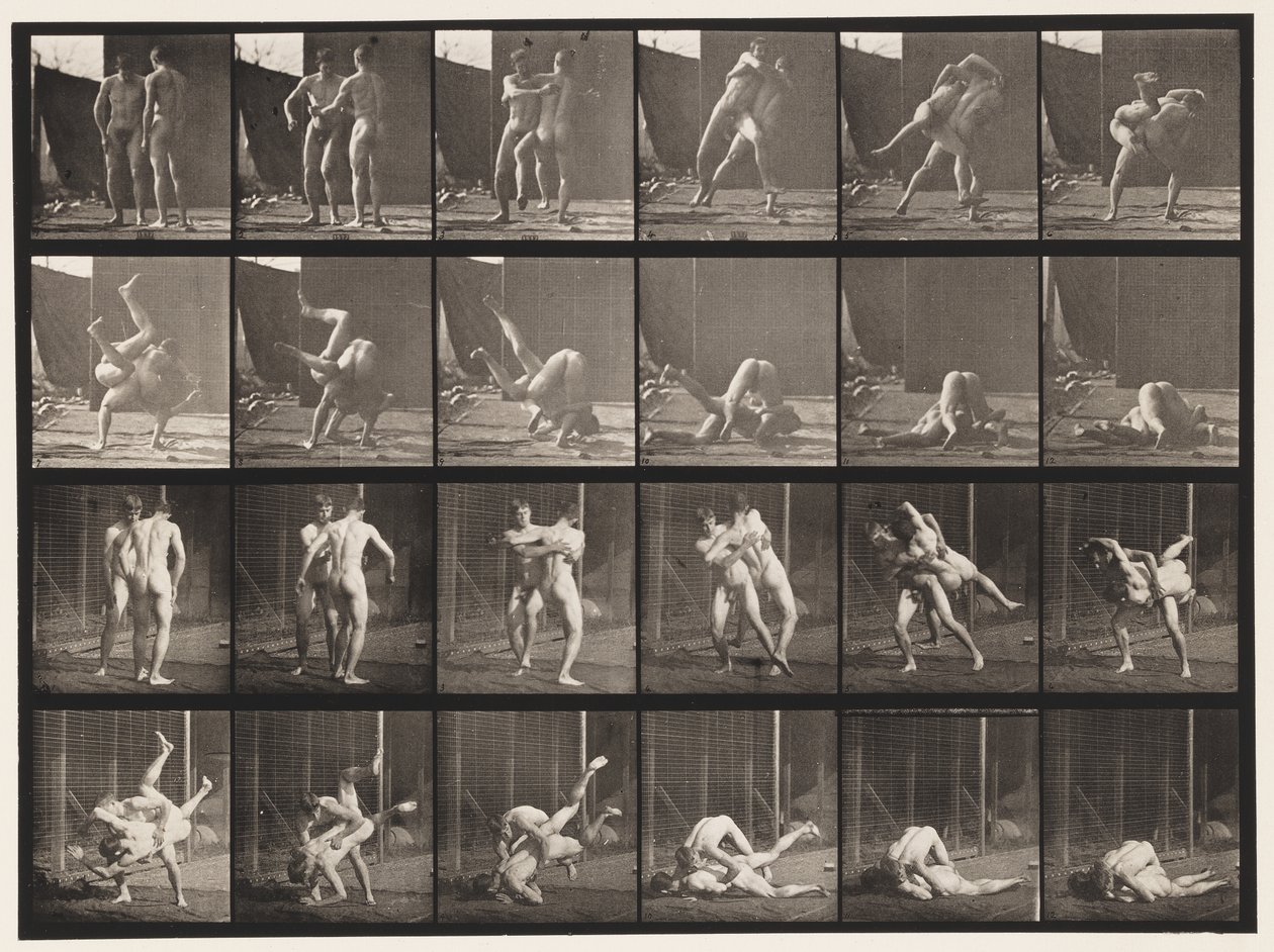 板块348.Wrestling，Graeco-Roman，1885 作者 爱德沃德·迈布里奇