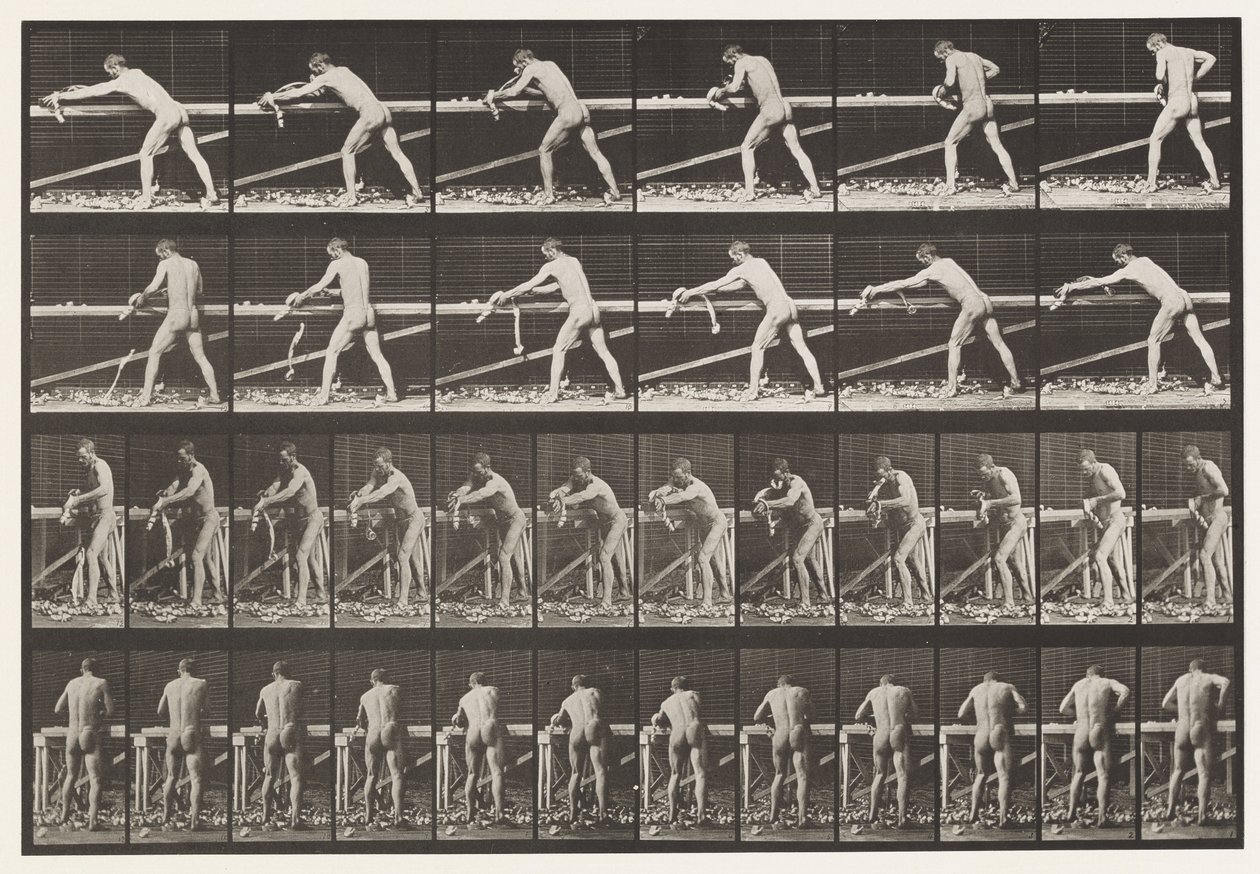 板块379. Carpenter，刨板，1872-1885 作者 爱德沃德·迈布里奇