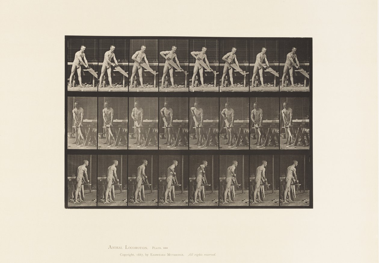 板380. Carpenter，Sawing，1872-1885 作者 爱德沃德·迈布里奇