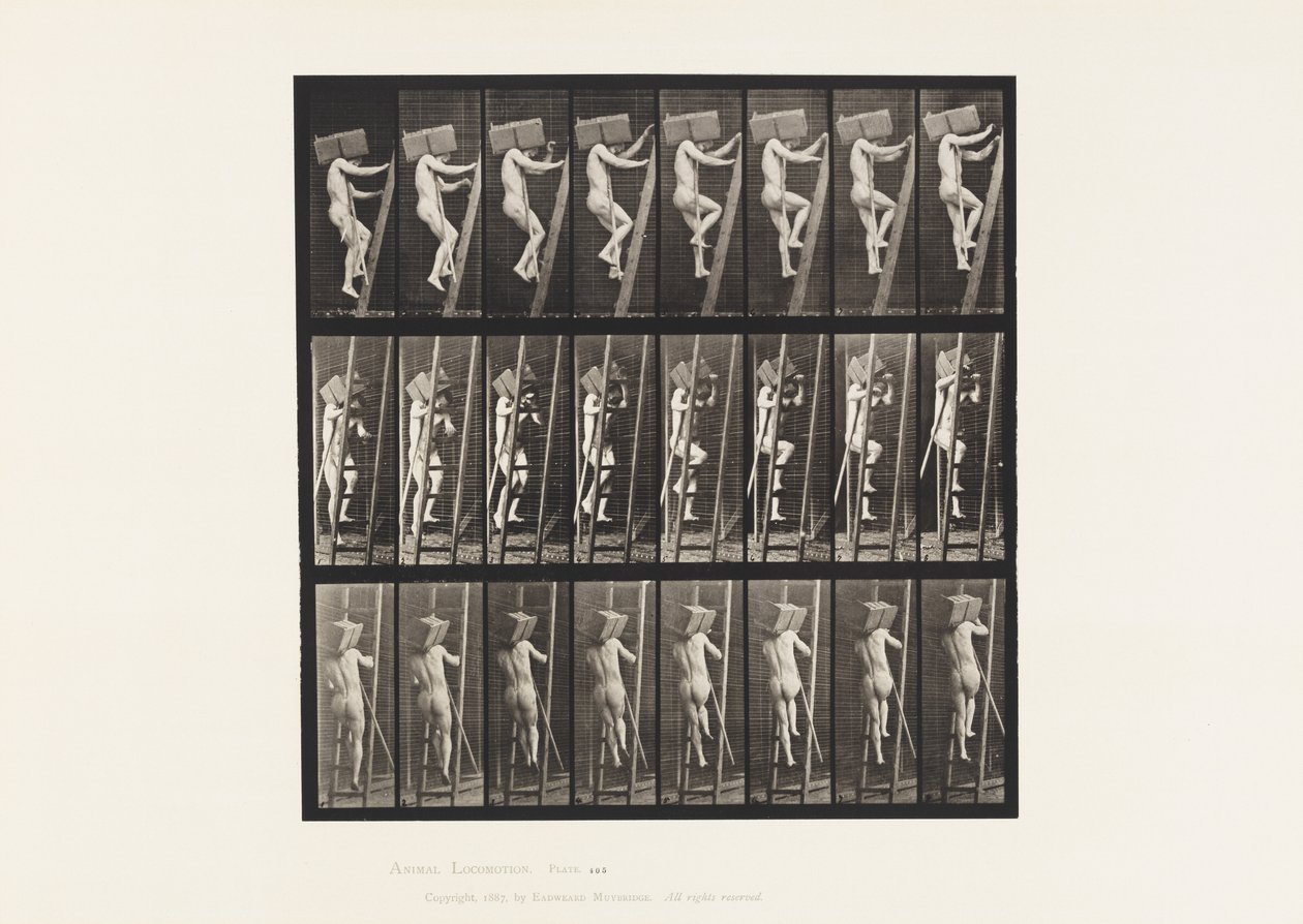 盘子405.携带砖的手在梯子，1872-1885 作者 爱德沃德·迈布里奇