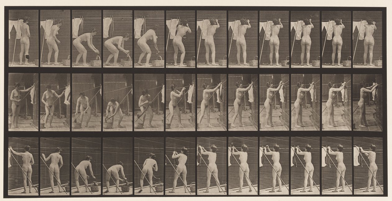 板434.挂衣服在线，1872-1885 作者 爱德沃德·迈布里奇