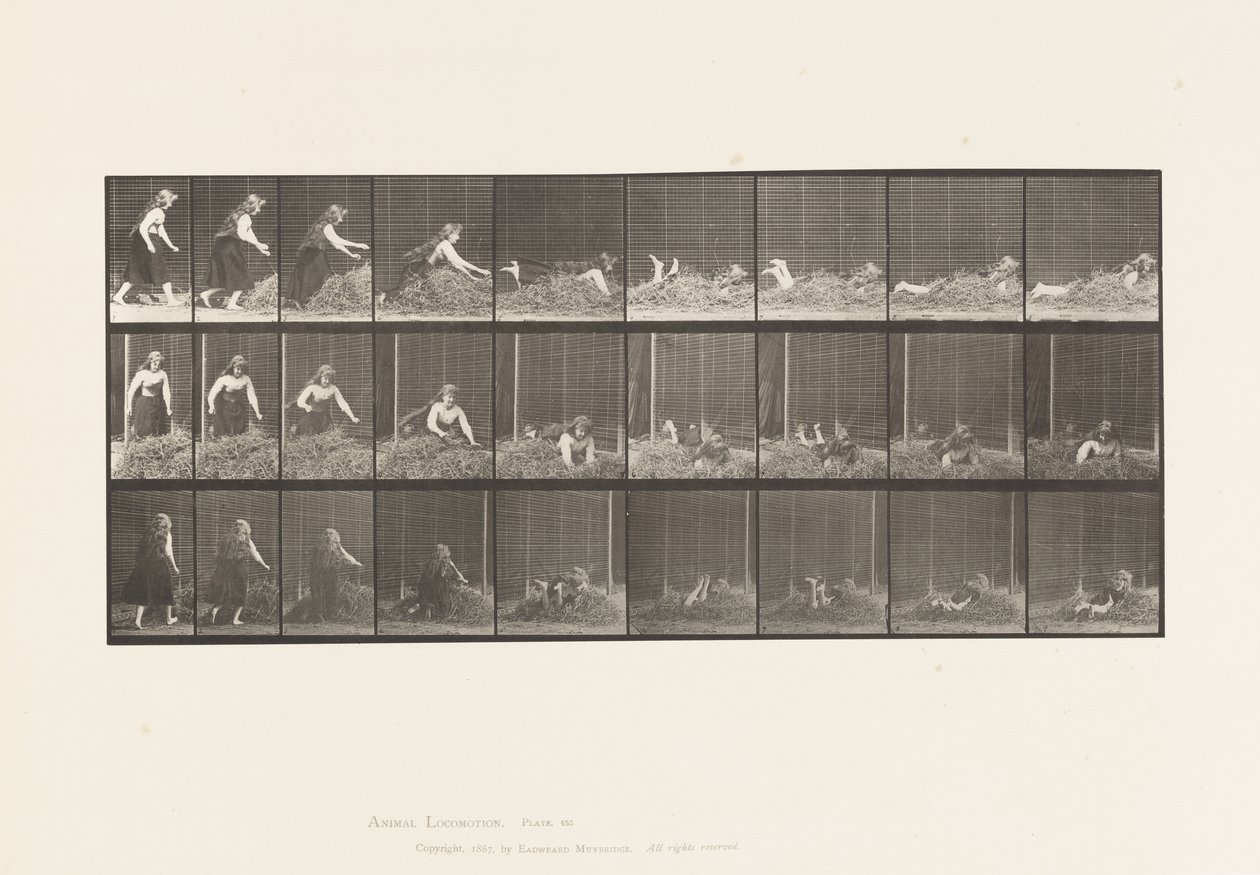Plate 455. Throwing Self on Heap of Hay 作者 爱德沃德·迈布里奇