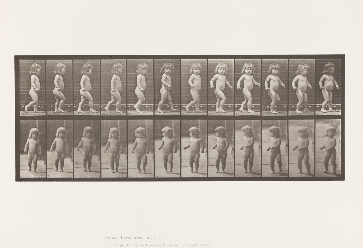 Plate 468. Child, Walking 作者 爱德沃德·迈布里奇
