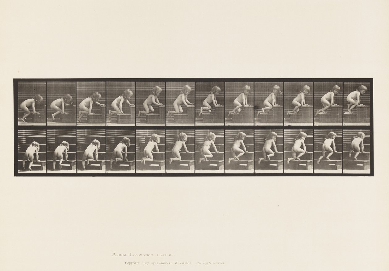 盘子472.Child，爬行楼上，1885年（纸上珂罗版） 作者 爱德沃德·迈布里奇
