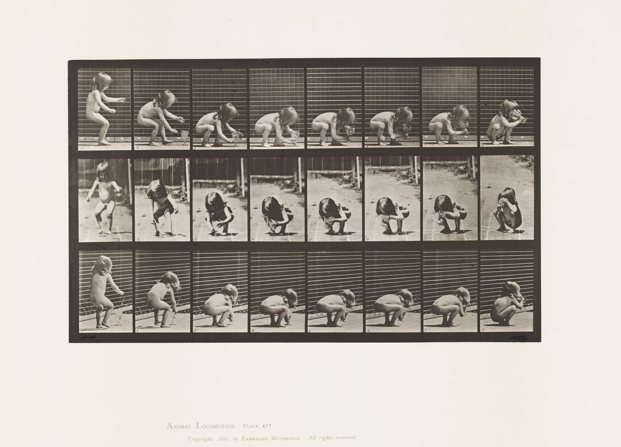 Plate 477. Child, Stooping, Lifting a Goblet, and Drinking 作者 爱德沃德·迈布里奇