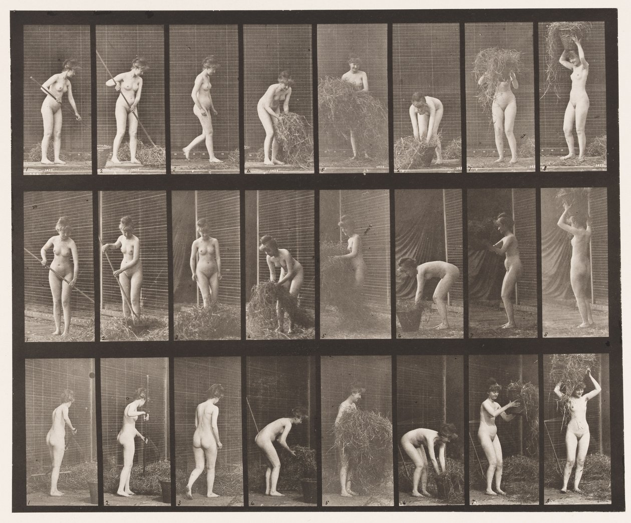 板499.耙和包装干草，1872-1885 作者 爱德沃德·迈布里奇