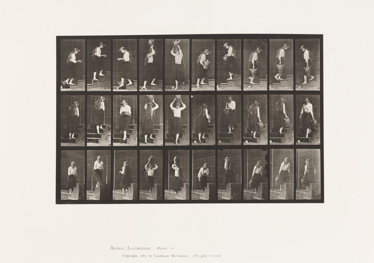 Plate 504. Ascending and Descending Stairs 作者 爱德沃德·迈布里奇