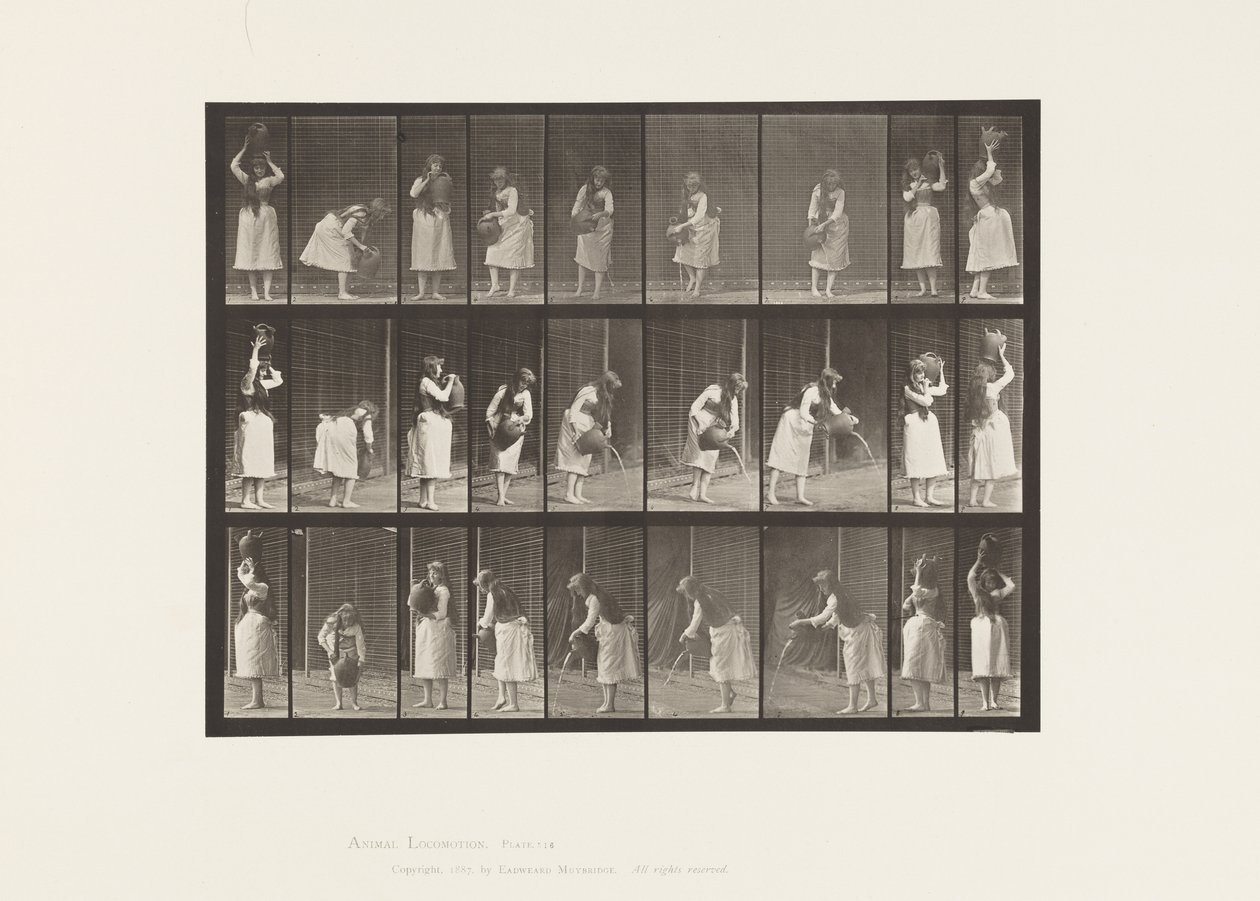 Plate 516. Miscellaneous Movements with a Water Jar 作者 爱德沃德·迈布里奇