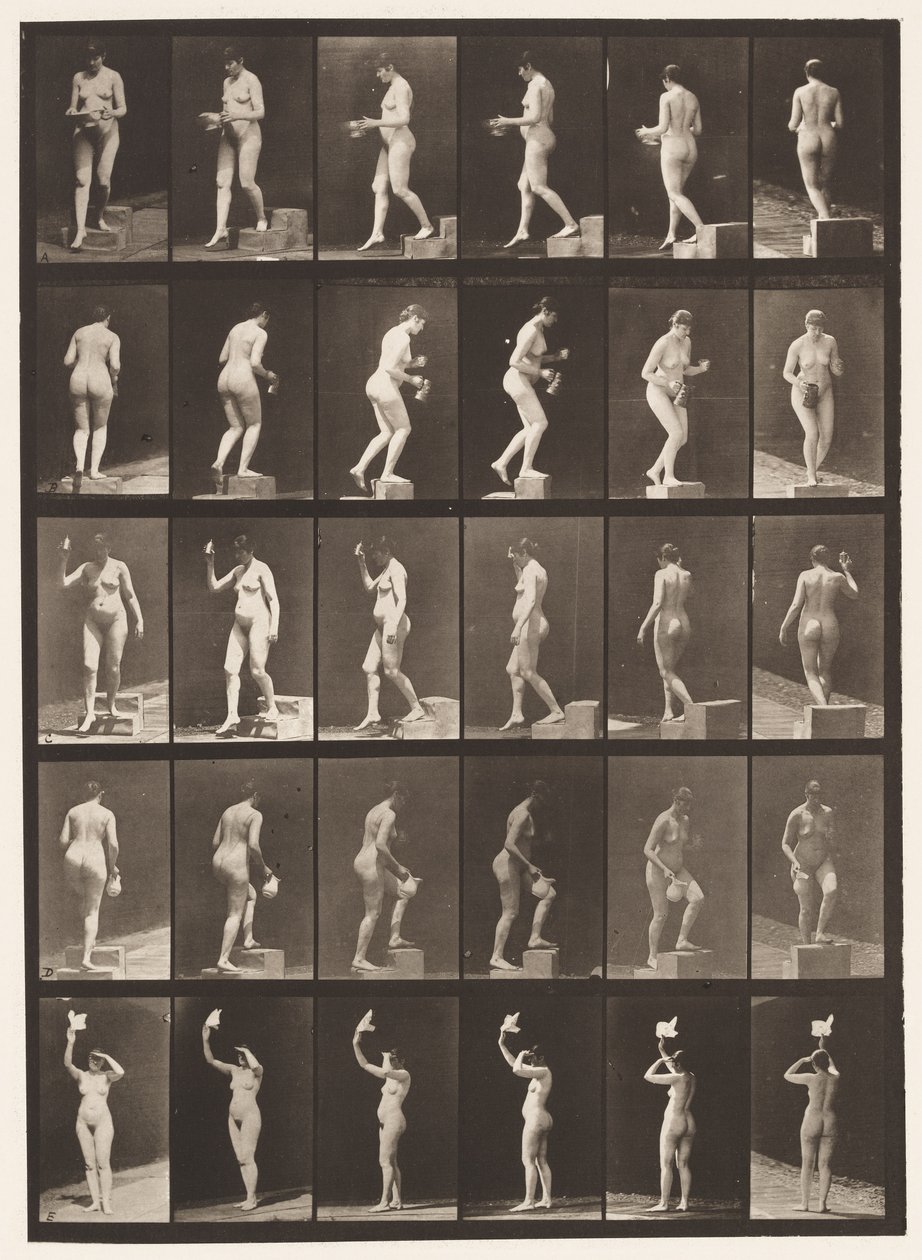 板525. A，下降步骤; B，Ascending Step;，1872-1885 作者 爱德沃德·迈布里奇