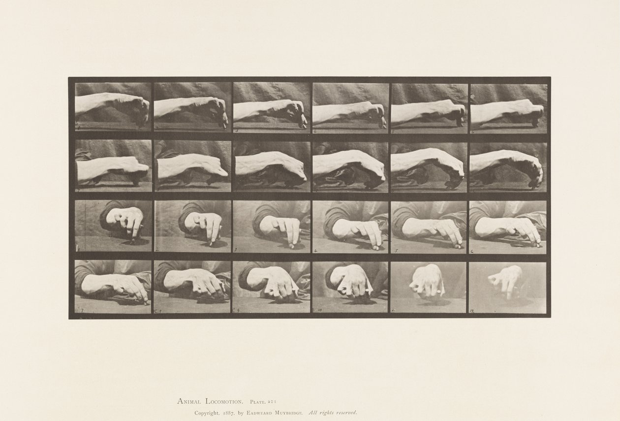 板532.手的移动;画一个圆圈，1885年 作者 爱德沃德·迈布里奇
