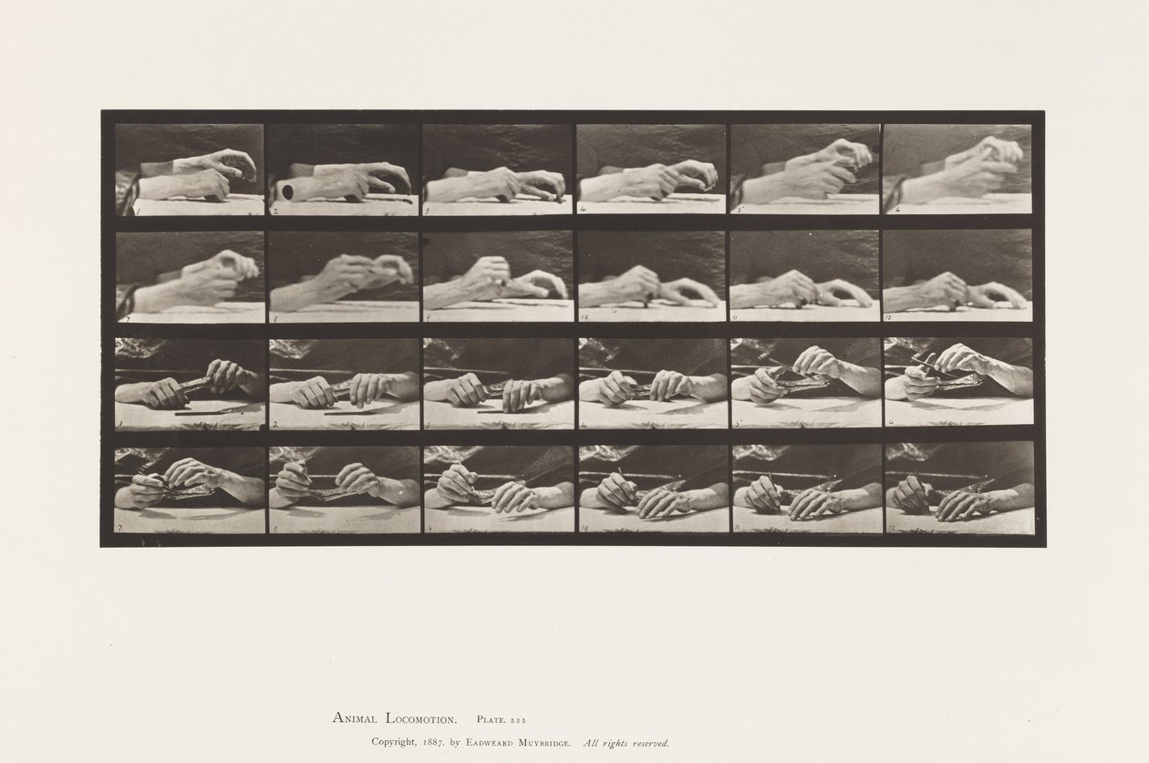 Plate 536. Movement of the Hand; Hands Changing Pencil 作者 爱德沃德·迈布里奇