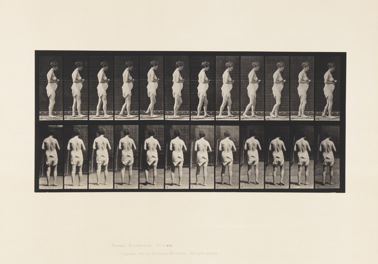 Plate 542. Multiple Cerebro-Spinal Sclerosis - Walking 作者 爱德沃德·迈布里奇