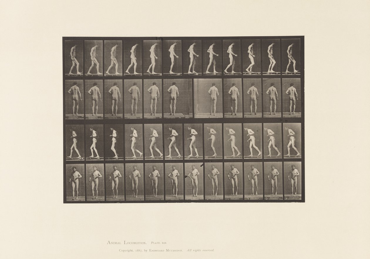 板548.Lateral Sclerosis; A，B，步行，1885年 作者 爱德沃德·迈布里奇