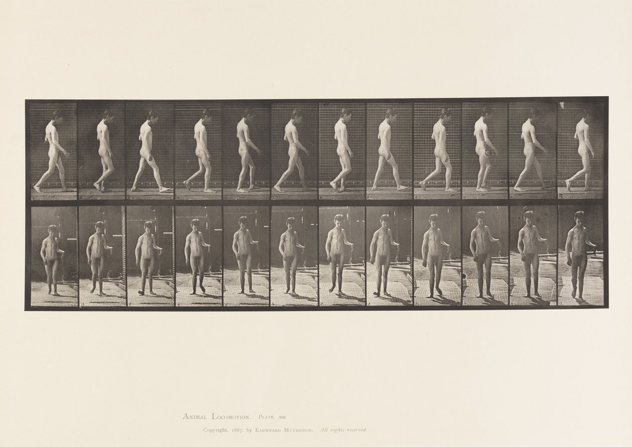 板551.癫痫;步行，1885年 作者 爱德沃德·迈布里奇