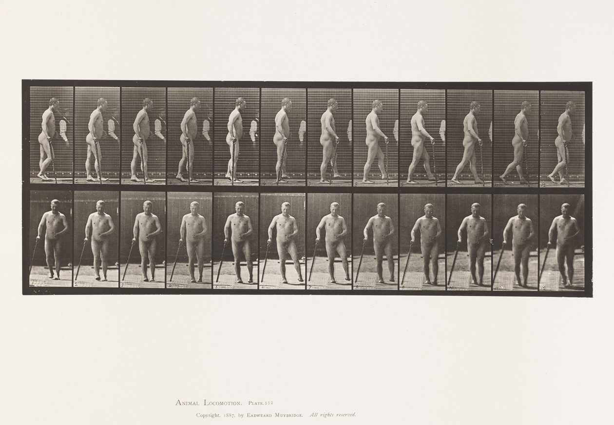 板552.Hemiplegia; 1885年与甘蔗一起散步 作者 爱德沃德·迈布里奇