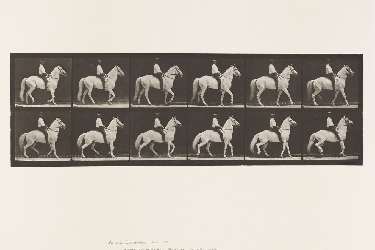 板577.Walking;鞍;不规则;白马克林顿，1885年 作者 爱德沃德·迈布里奇