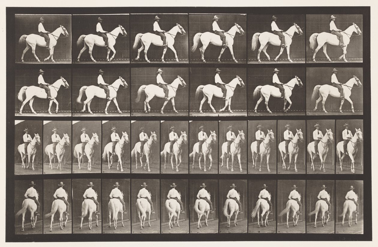 板579.Walking;鞍;白马艾伯伦，1885年 作者 爱德沃德·迈布里奇