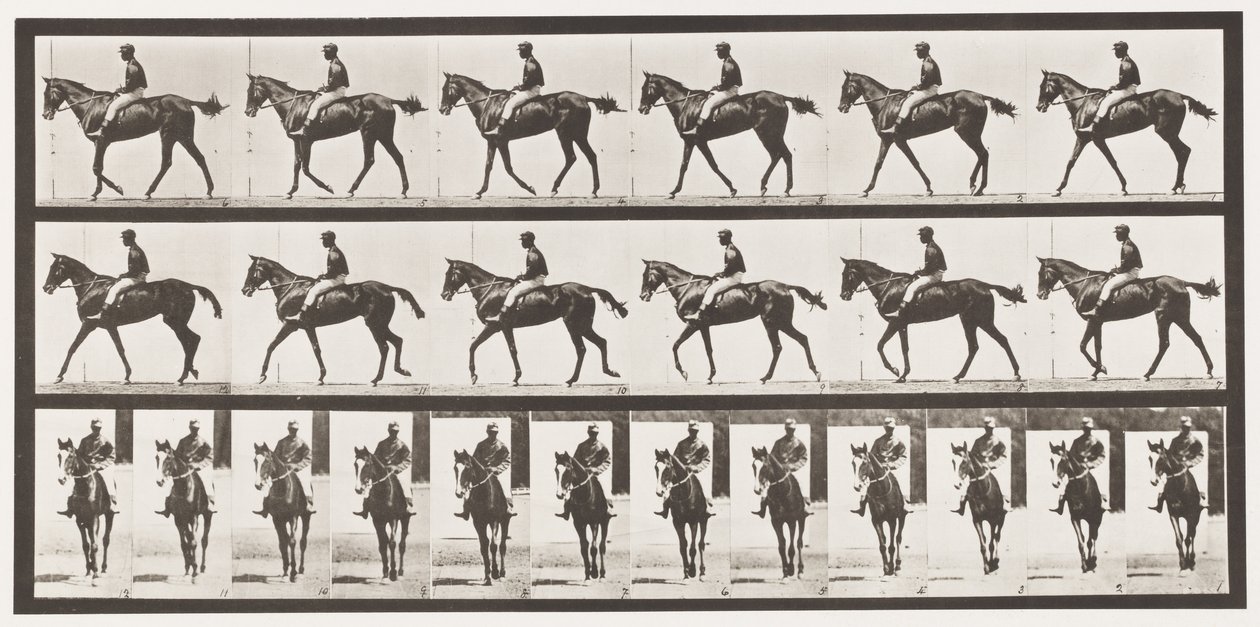 板580.Walking;鞍; Thoroughbred Bay Mare Annie G.，1885 作者 爱德沃德·迈布里奇