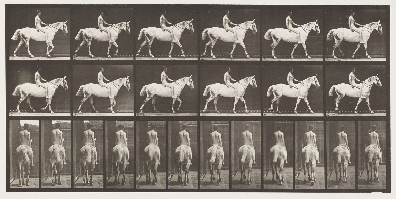 板581.Walking; Bareback;骑手，43岁，裸体; Light-Grey Horse Smith，1885 作者 爱德沃德·迈布里奇