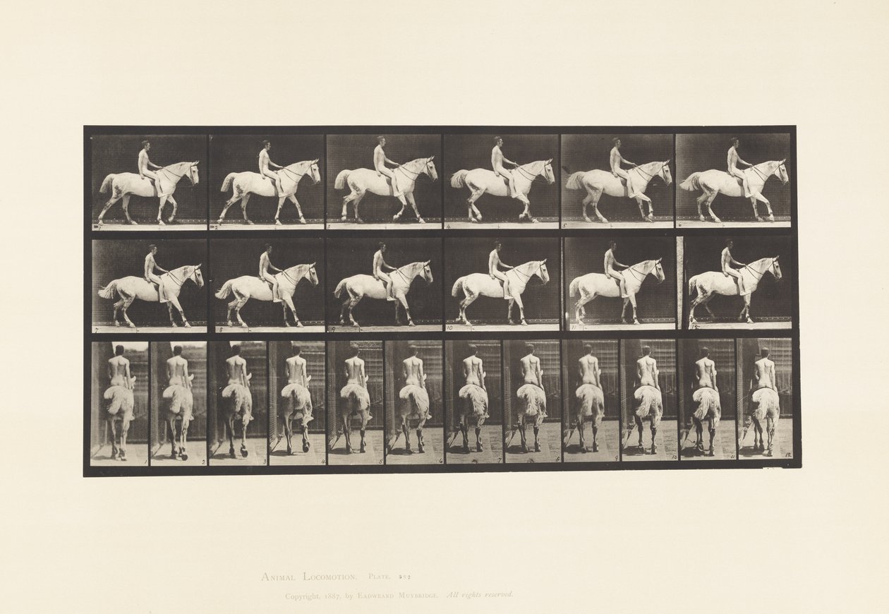 Plate 582. Walking;Saddle; Rider, 43, Nude; Light-Gray Horse Smith 作者 爱德沃德·迈布里奇
